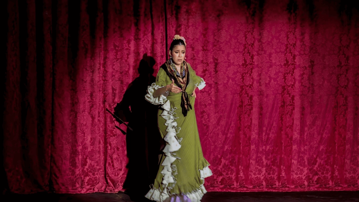 TABLAO FLAMENCO SEVILLA RONEO PLAZA